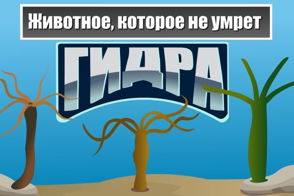 Кракен маркет даркнет только через