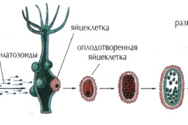 Kraken ссылка тор 2krnk biz kraken17ate pro