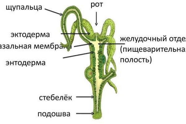 Ссылка на сайт кракен в тор браузере